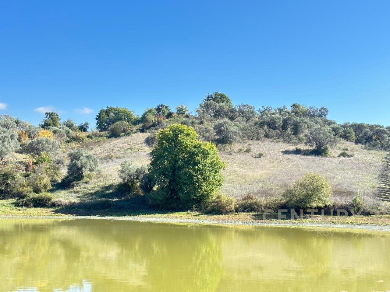 OFROHET TOKE PER SHITJE NE RROMANAT, DURRES!