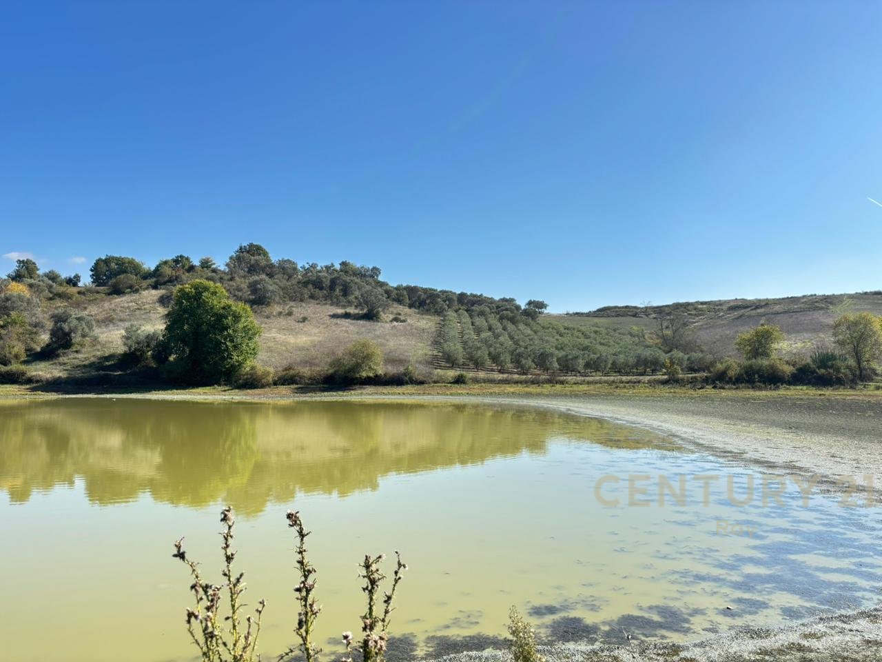 OFROHET TOKE PER SHITJE NE RROMANAT, DURRES!