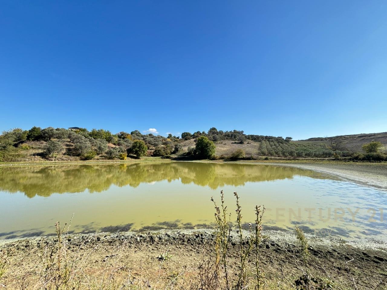 OFROHET TOKE PER SHITJE NE RROMANAT, DURRES!