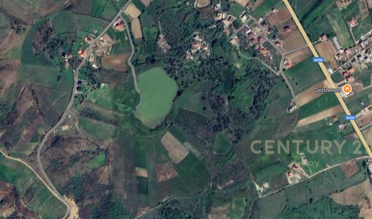 OFROHET TOKE PER SHITJE NE RROMANAT, DURRES!