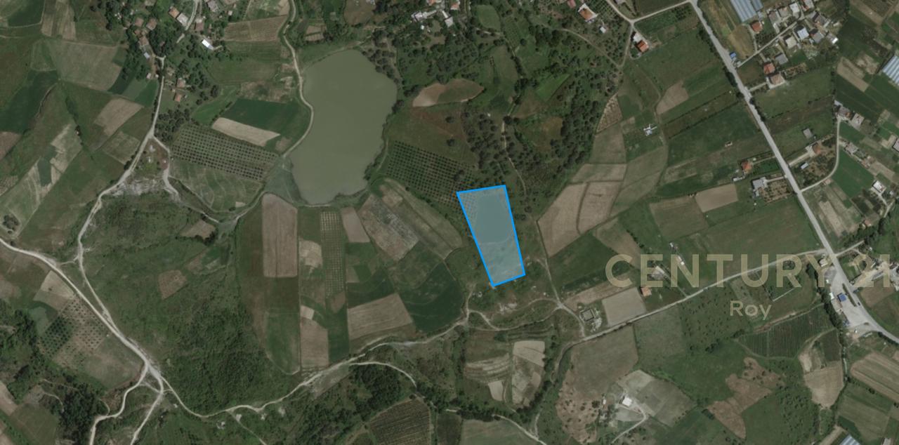 OFROHET TOKE PER SHITJE NE RROMANAT, DURRES!