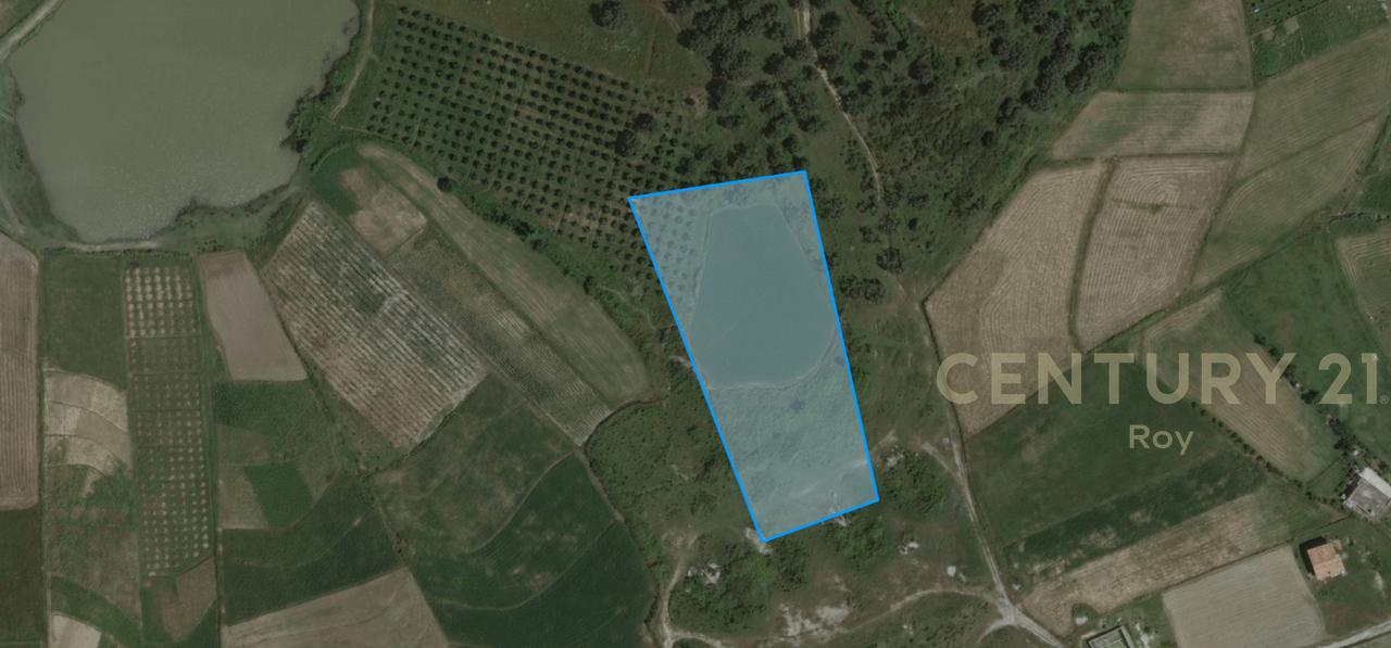 OFROHET TOKE PER SHITJE NE RROMANAT, DURRES!