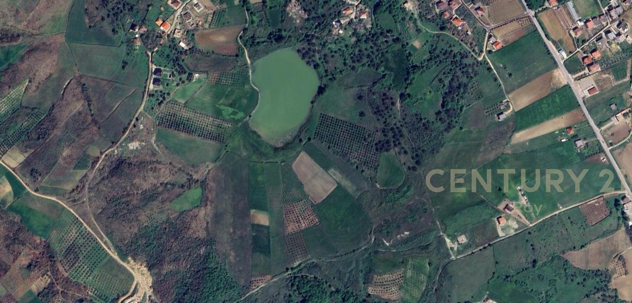 OFROHET TOKE PER SHITJE NE RROMANAT, DURRES!