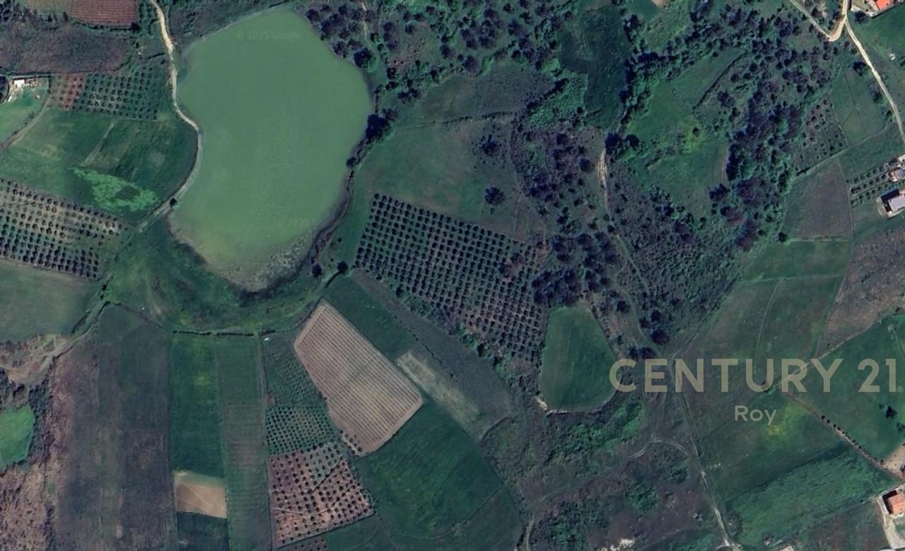 OFROHET TOKE PER SHITJE NE RROMANAT, DURRES!