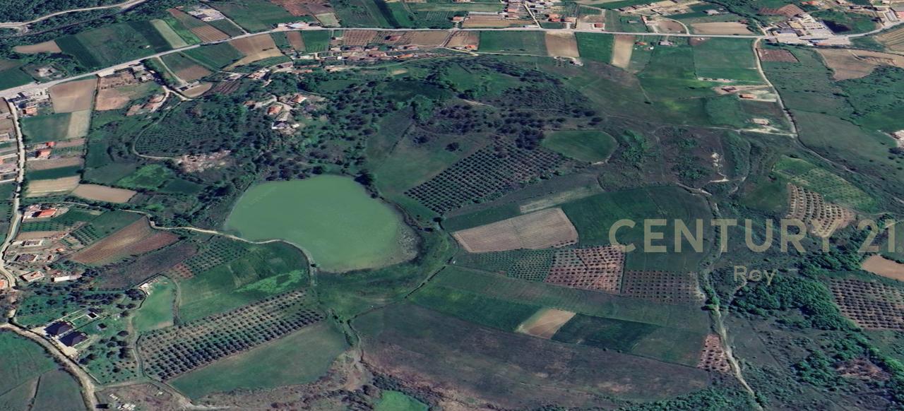 OFROHET TOKE PER SHITJE NE RROMANAT, DURRES!