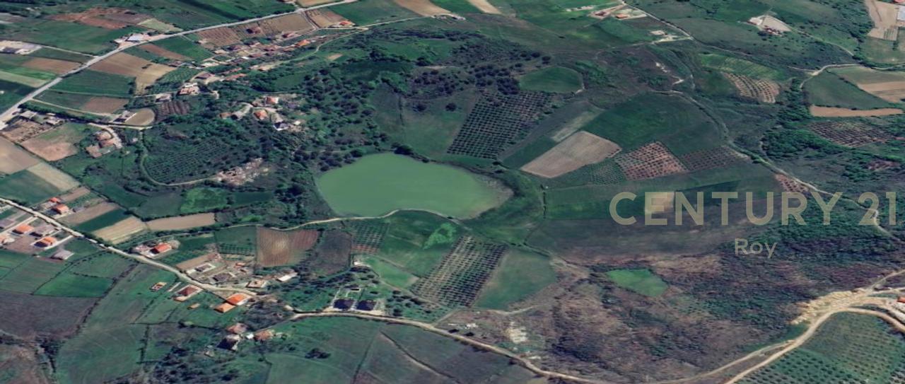 OFROHET TOKE PER SHITJE NE RROMANAT, DURRES!