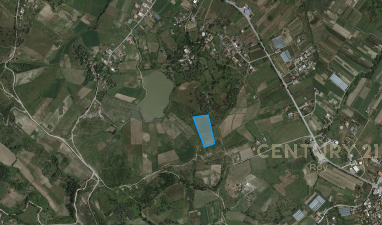 OFROHET TOKE PER SHITJE NE RROMANAT, DURRES!