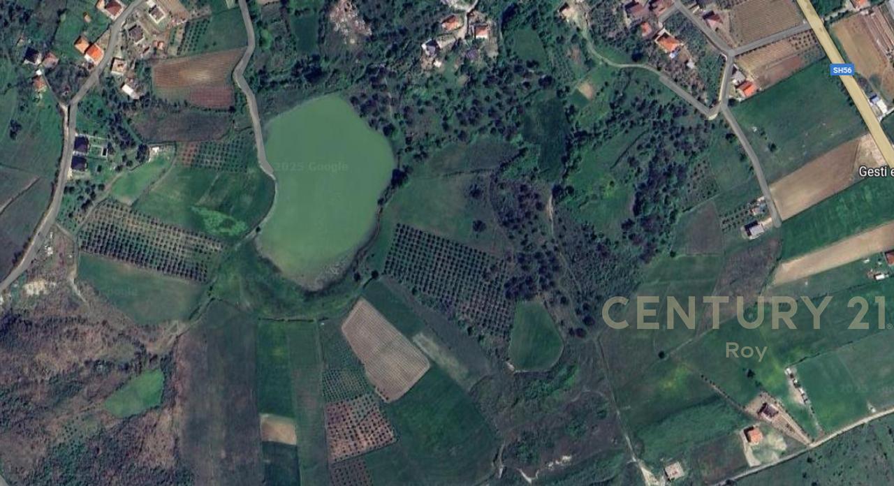 OFROHET TOKE PER SHITJE NE RROMANAT, DURRES!