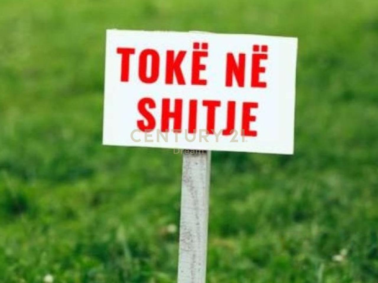 SHITET TOKE TRUALL BUZE RRUGE NE BERXULLE ‼️