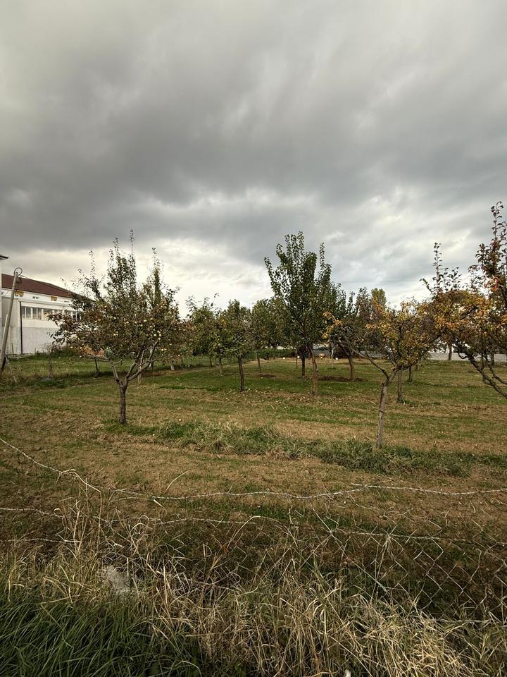 TOKË PËR SHITJE NË BUÇIMAS, POGRADEC – MUNDËSI SHUMË E MIRË PËR INVESTIM OSE NDËRTIM