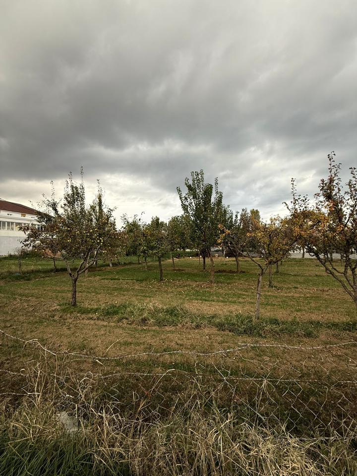 TOKË PËR SHITJE NË BUÇIMAS, POGRADEC – MUNDËSI SHUMË E MIRË PËR INVESTIM OSE NDËRTIM