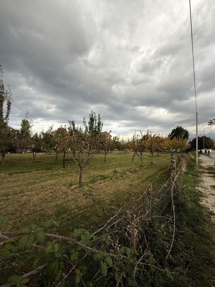 TOKË PËR SHITJE NË BUÇIMAS, POGRADEC – MUNDËSI SHUMË E MIRË PËR INVESTIM OSE NDËRTIM
