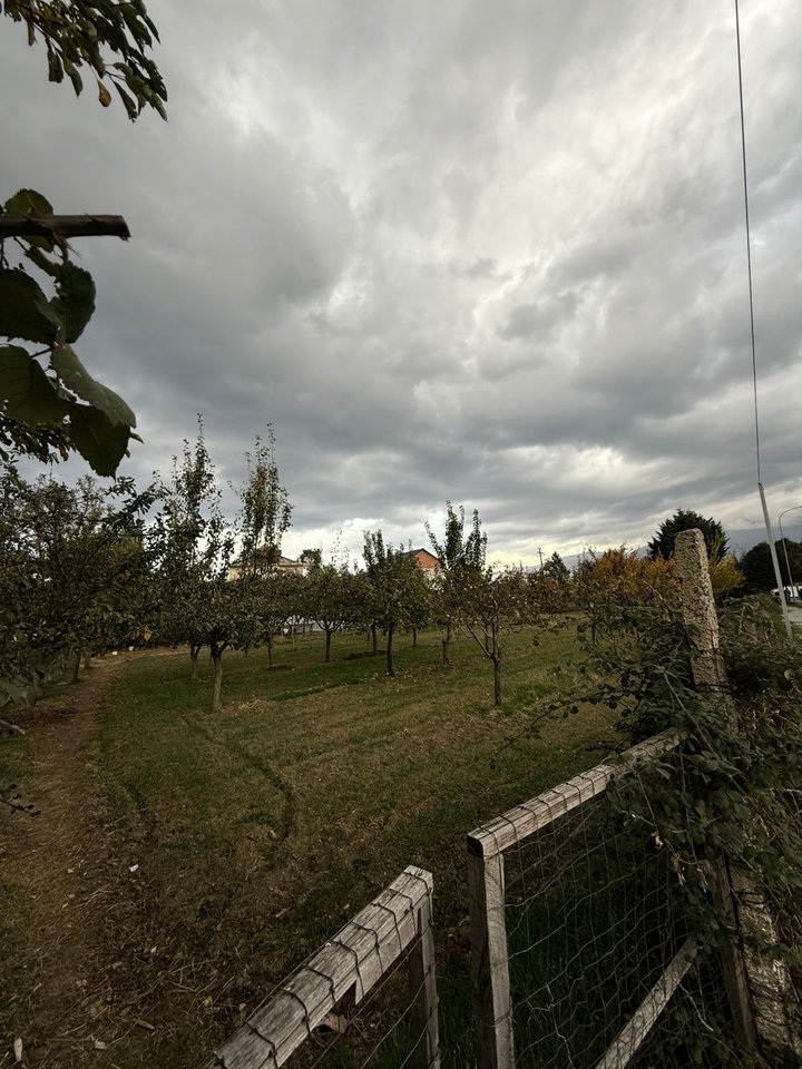 TOKË PËR SHITJE NË BUÇIMAS, POGRADEC – MUNDËSI SHUMË E MIRË PËR INVESTIM OSE NDËRTIM