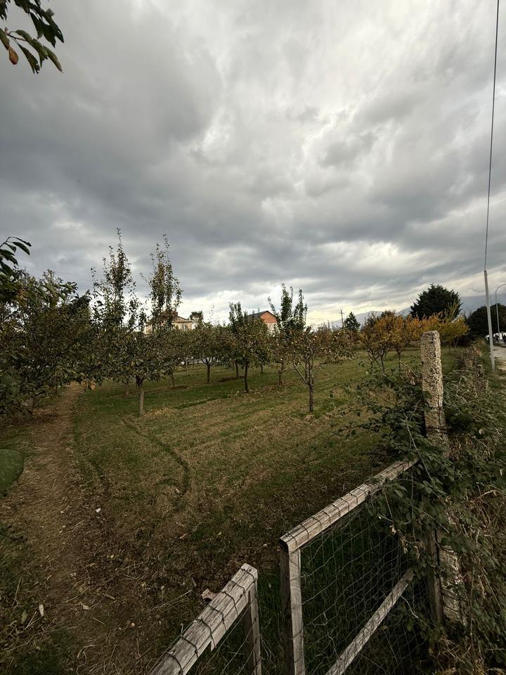 TOKË PËR SHITJE NË BUÇIMAS, POGRADEC – MUNDËSI SHUMË E MIRË PËR INVESTIM OSE NDËRTIM