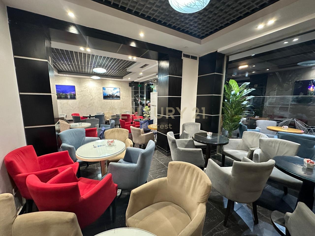 PEDIATRIA, SHESIM AMBIENT KOMERCIAL