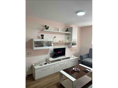 1+1 apartment for rent in Volga!