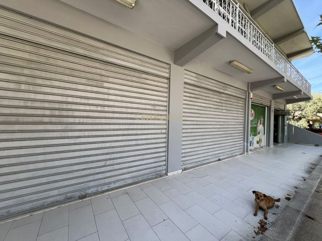 BUSINESS UNIT OPPOSITE THE FORMER TILES FACTORY IN VLORE
