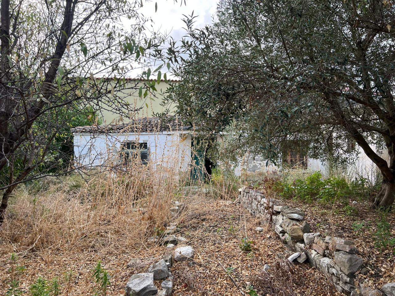 OLD HOUSE FOR SALE IN KANINE, VLORE !