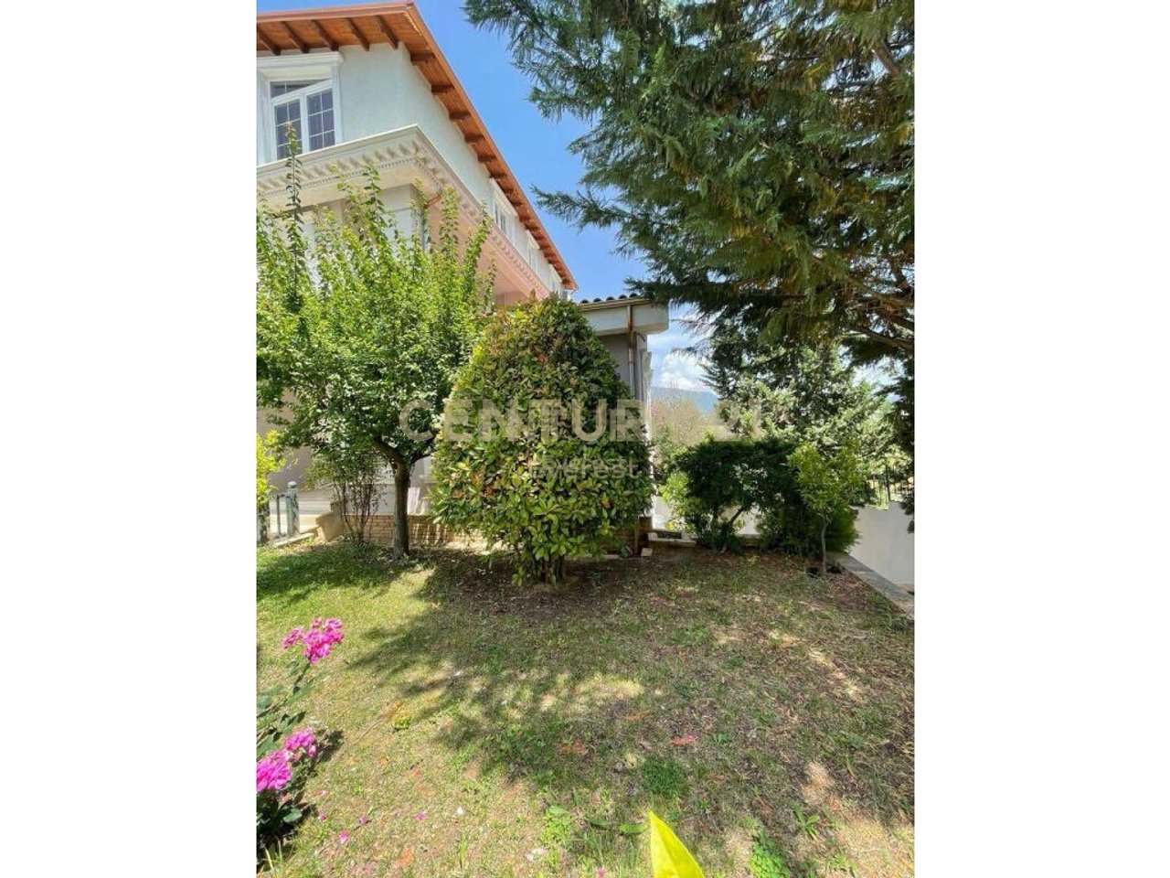 AKACIA HILLS, Shesim VILE 3-KATE ME PISHINE