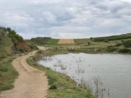 Terreno in vendita a Belsh con vista sul lago e certificato di proprietà!