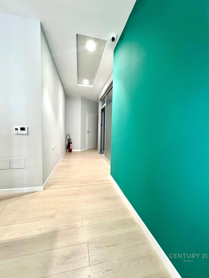 Vasil Shanto – Commercial ambient for rent