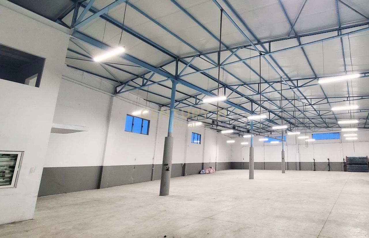 JEPET ME QIRA KAPANON NE RRUGEN VORE - FUSHE-KRUJE