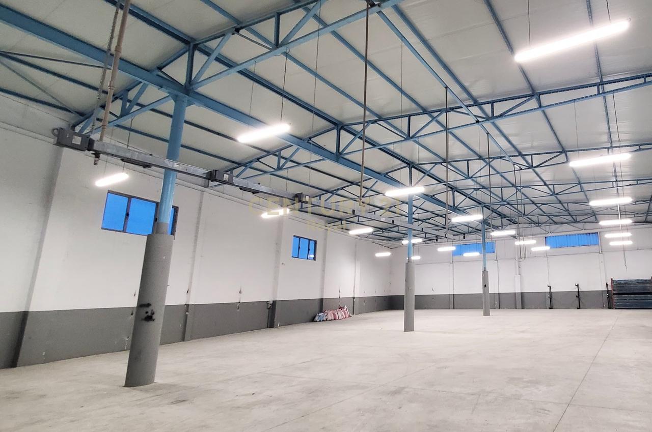 JEPET ME QIRA KAPANON NE RRUGEN VORE - FUSHE-KRUJE