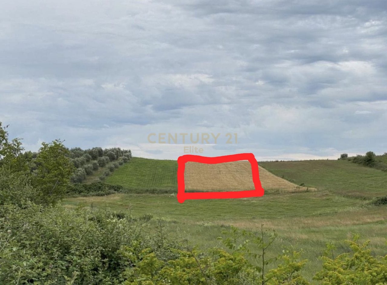 Terreno in vendita a Belsh con vista sul lago e certificato di proprietà!