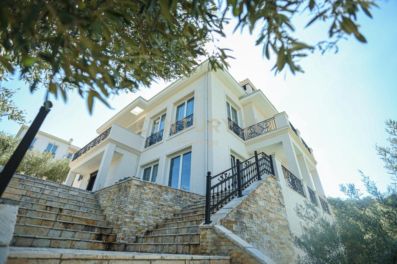 VILE LUKSOZE ME QIRA, LIQENI I THATE, TIRANE!