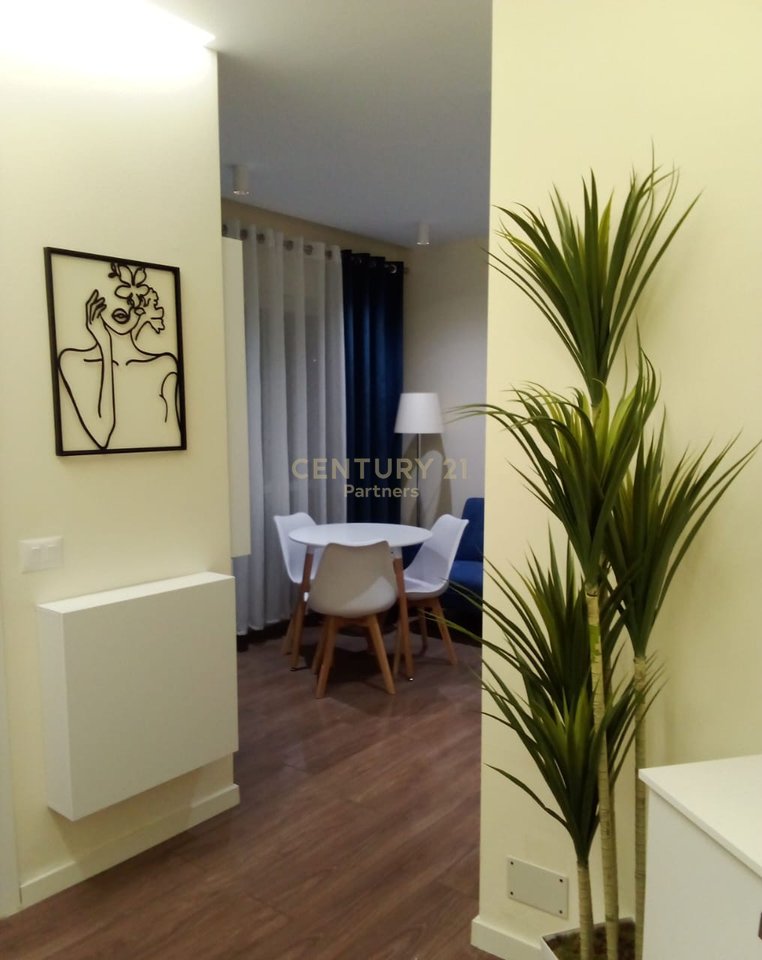 APARTAMENT 1+1 ME QIRA NE RRUGEN MINE PEZA