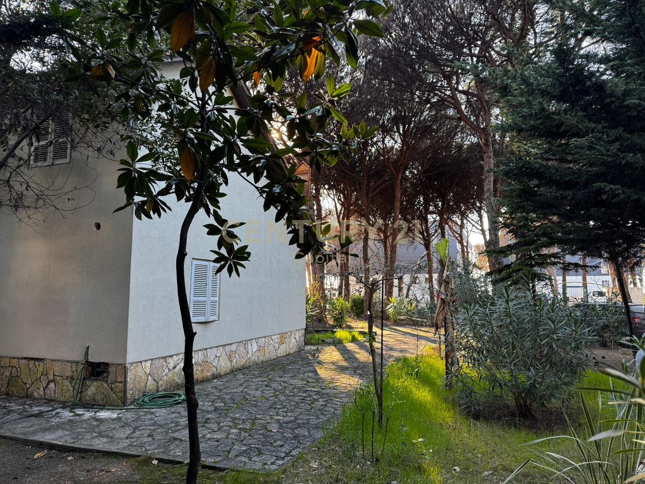 A small shady spot among the pine trees in Qeret!