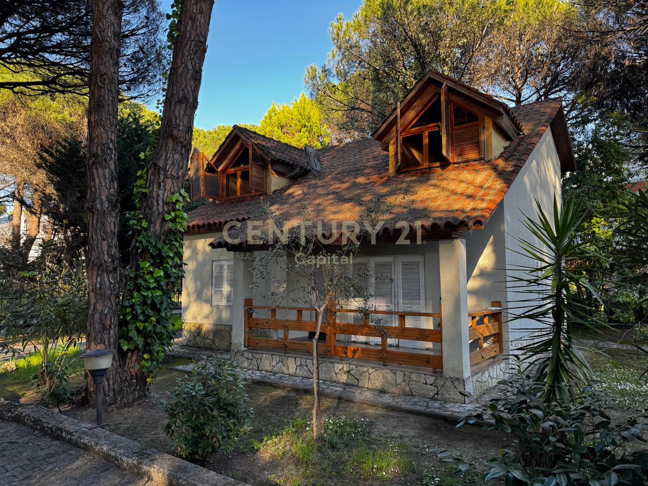 A small shady spot among the pine trees in Qeret!