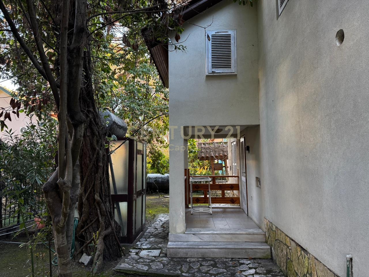 A small shady spot among the pine trees in Qeret!