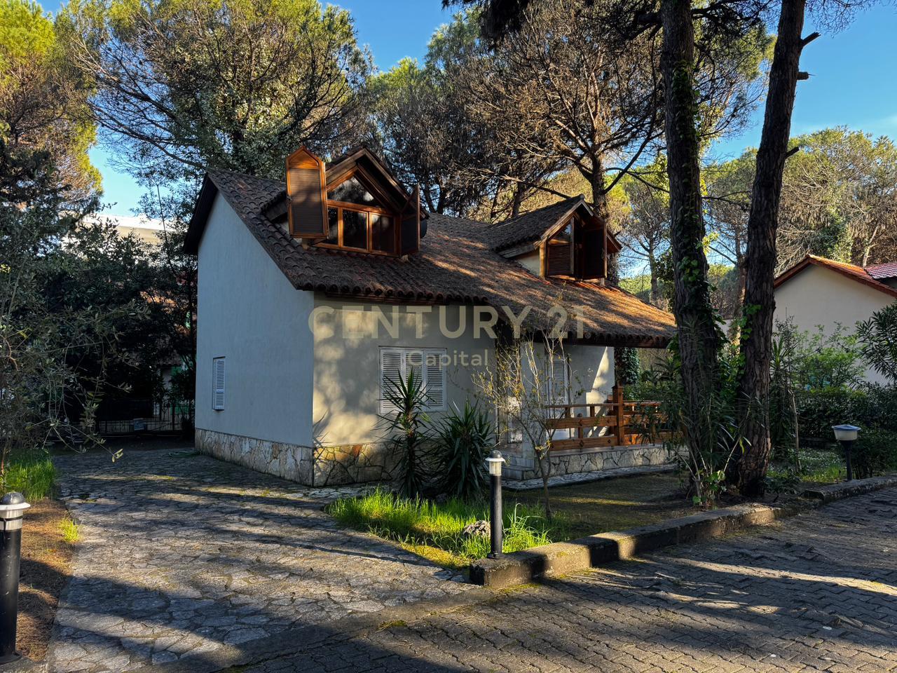 A small shady spot among the pine trees in Qeret!