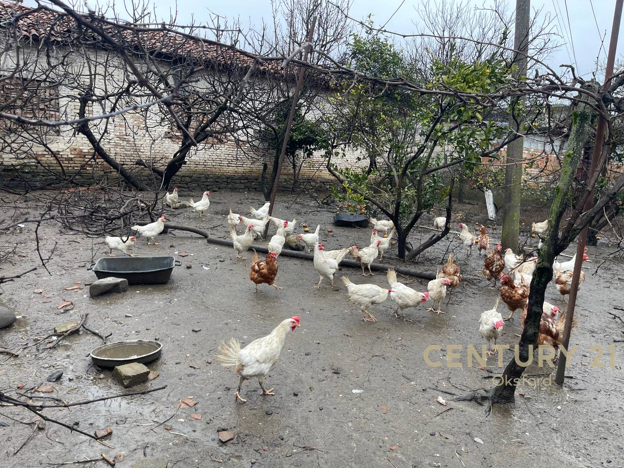 LAND FOR SALE IN ELBASAN WITH CERTIFICATE OF OWNERSHIP!