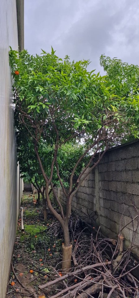 Shesim tokë dhe magazinë në Kamëz!