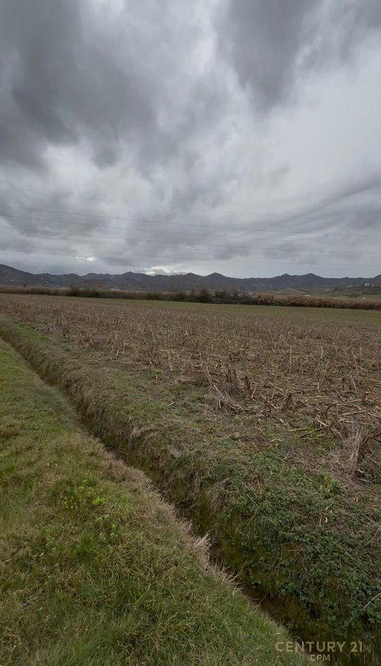 NE KASHAR PRAN CITYPARK TOKE ARE PER SHITJE -7500M2