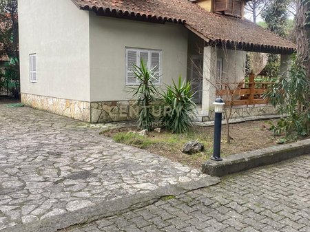 Shesim Vile te vogel mes pishave ne Qeret!