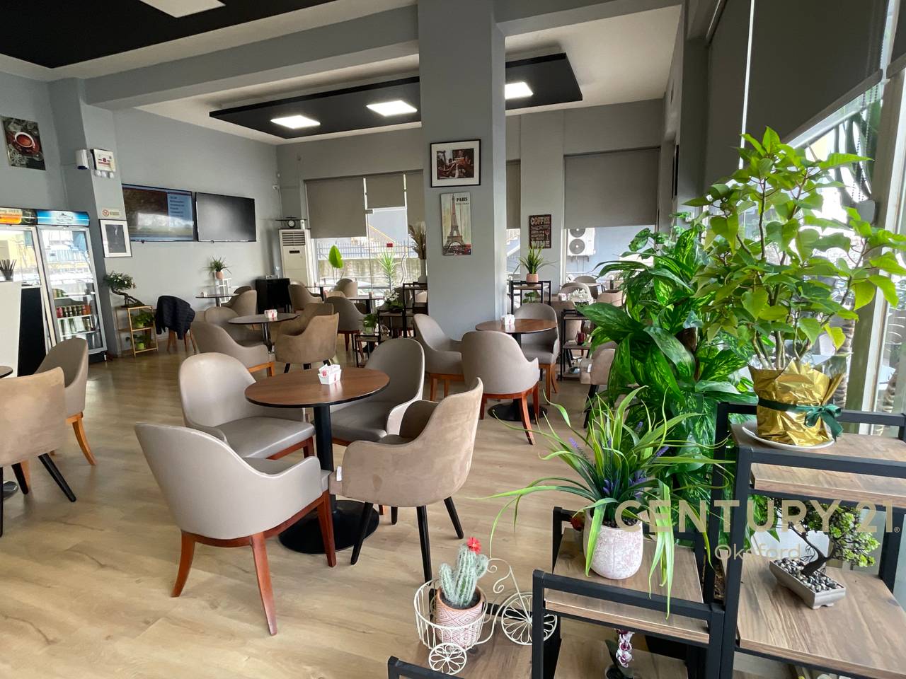 NJËSI TREGTARE PËR SHITJE PRANË KOPSHIT BOTANIK!