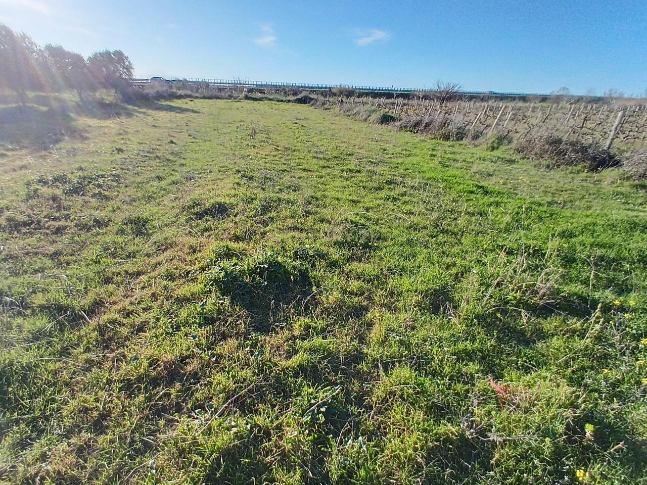 FOR SALE 1000 M² – LAND IN "PANAJA"