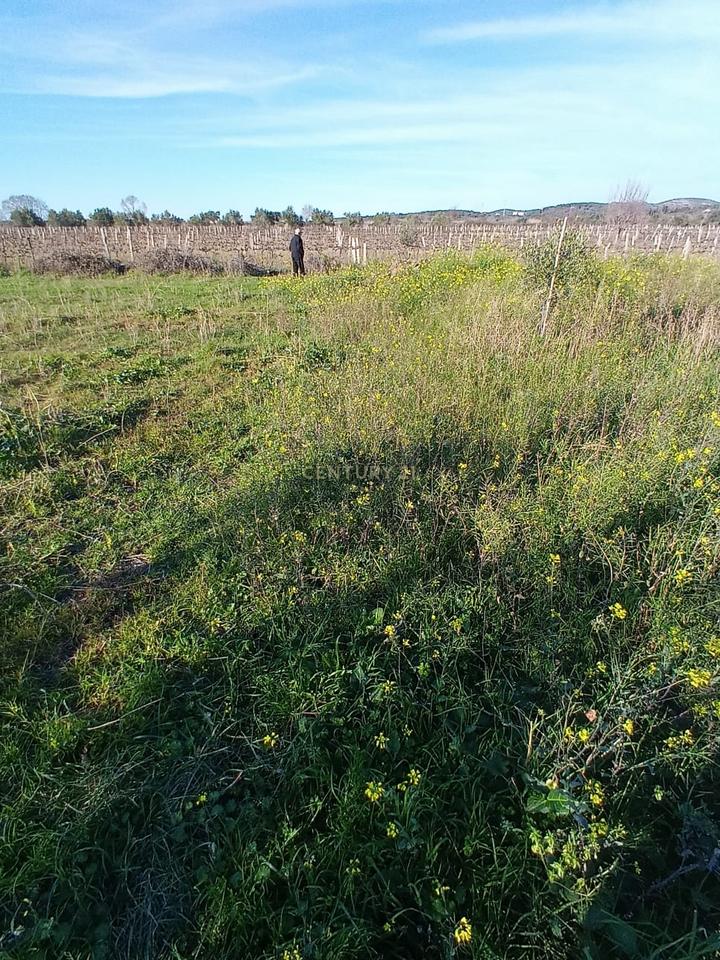 FOR SALE 1000 M² – LAND IN "PANAJA"