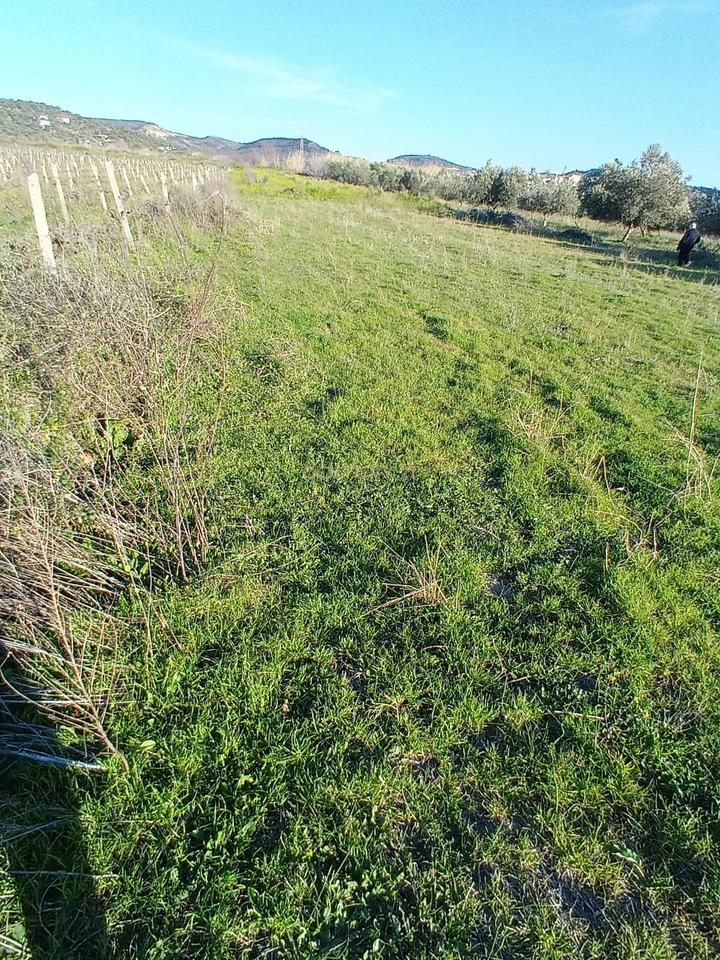 FOR SALE 1000 M² – LAND IN "PANAJA"