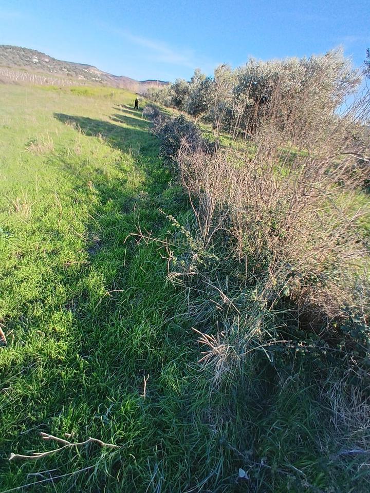 FOR SALE 1000 M² – LAND IN "PANAJA"