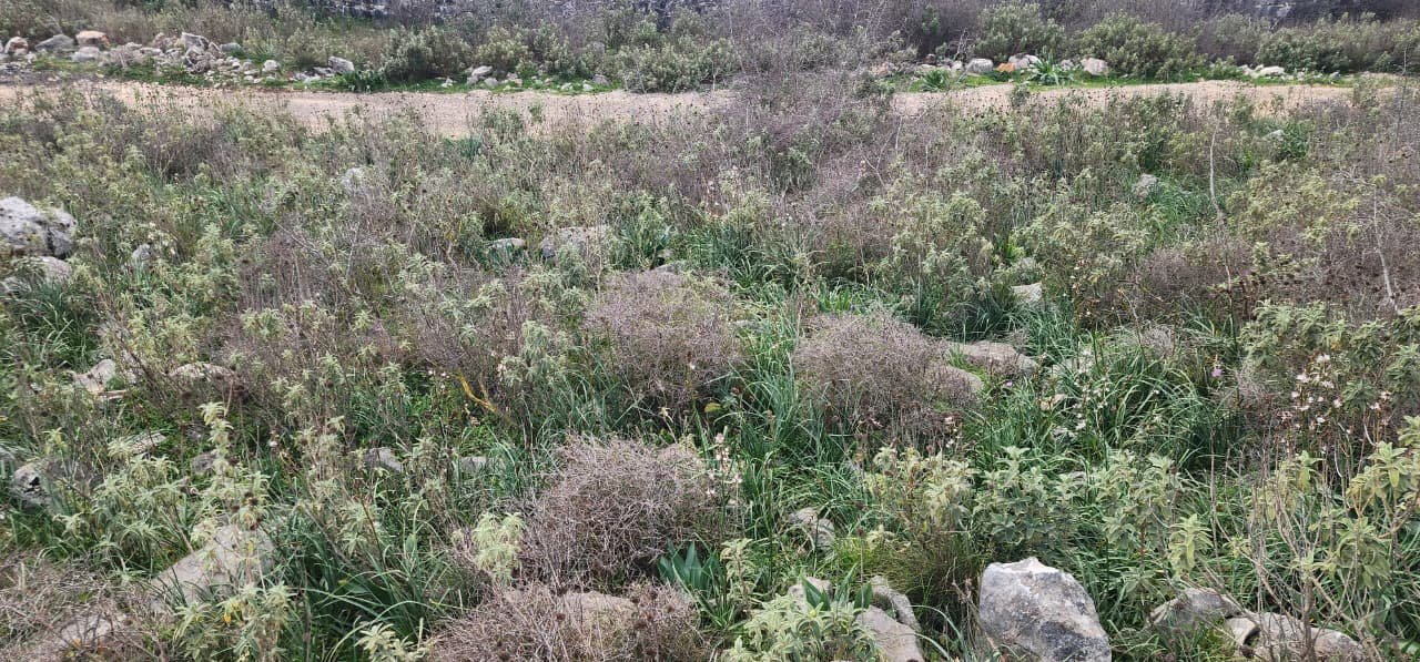 SARANDE, SHESIM TRUALL ME PAMJE NGA DETI