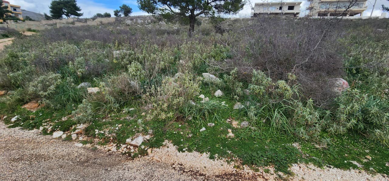 SARANDE, SHESIM TRUALL ME PAMJE NGA DETI