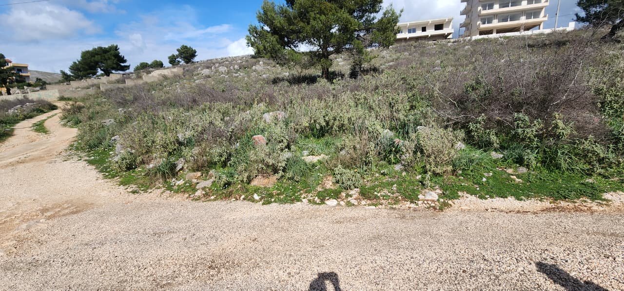 SARANDE, SHESIM TRUALL ME PAMJE NGA DETI