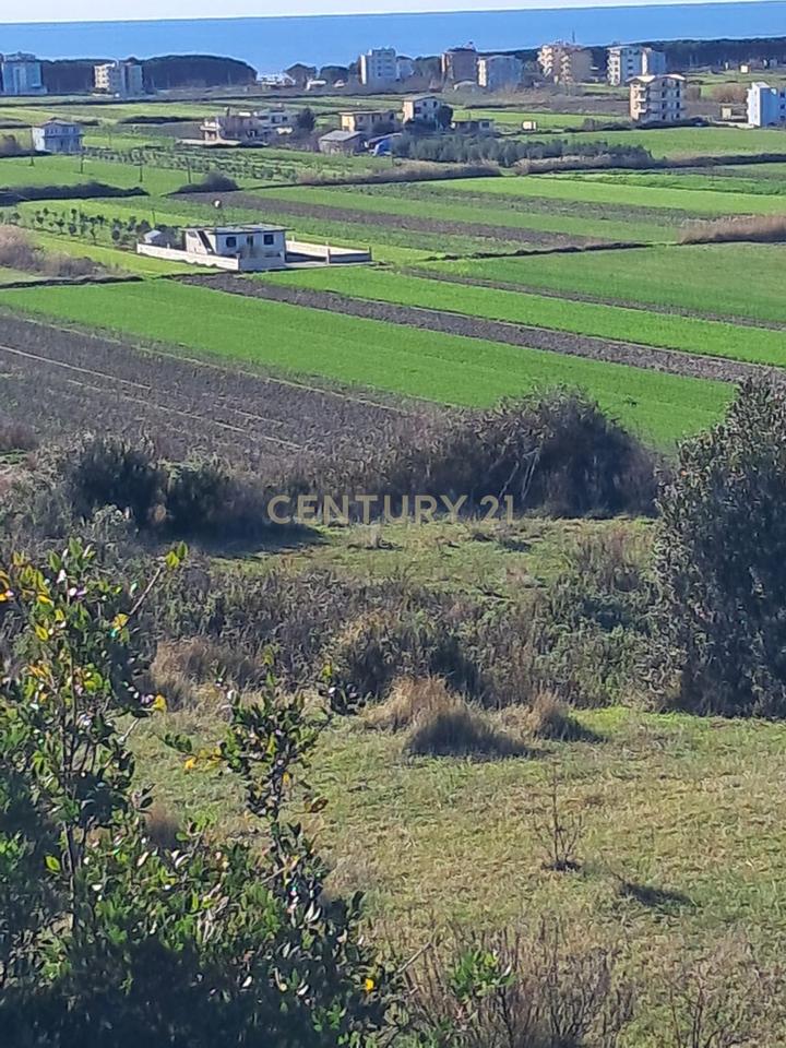 Shitet Tokë në Spille – 5,930 m²