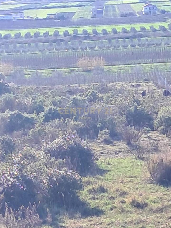 Shitet Tokë në Spille – 5,930 m²