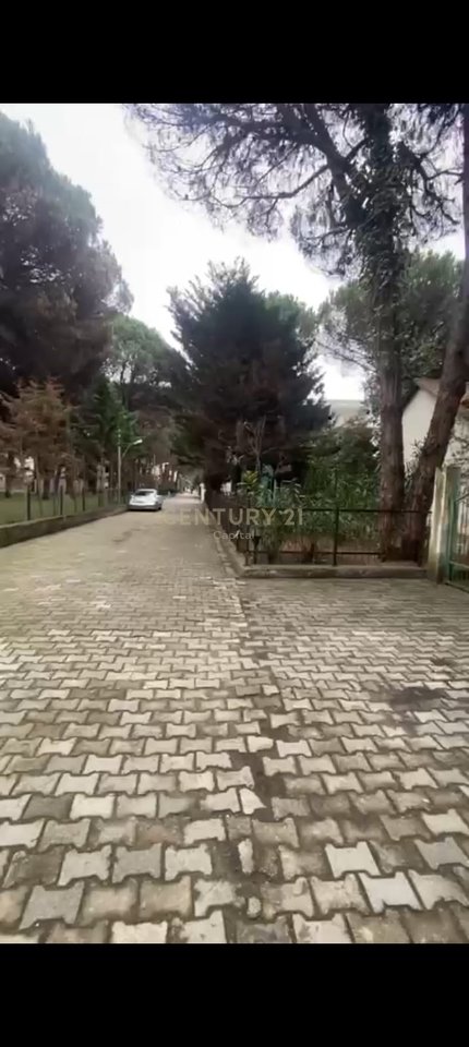 Shesim Vile te vogel mes pishave ne Qeret!