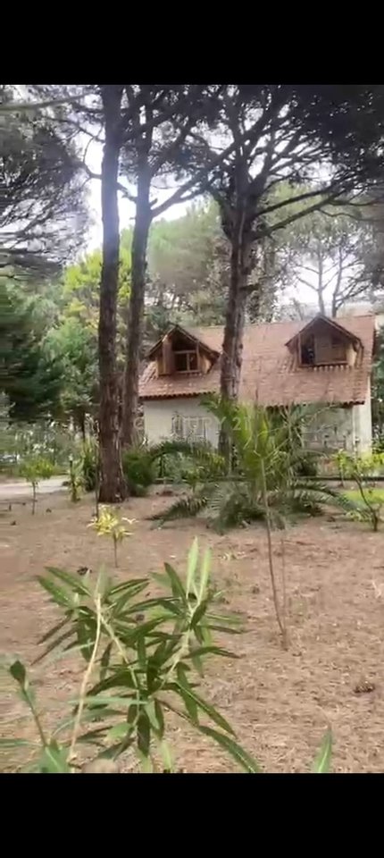 Shesim Vile te vogel mes pishave ne Qeret!